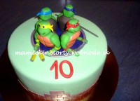 /album/chut-a-potesenie/korytnacky-jpg/